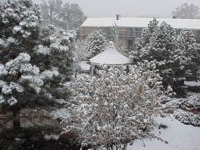 snowfall